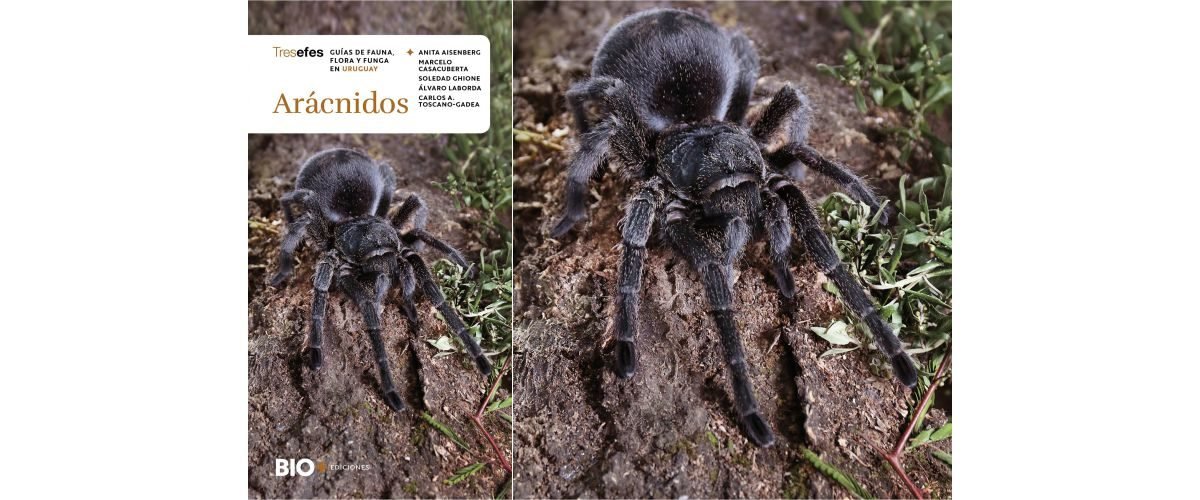 Aracnidos