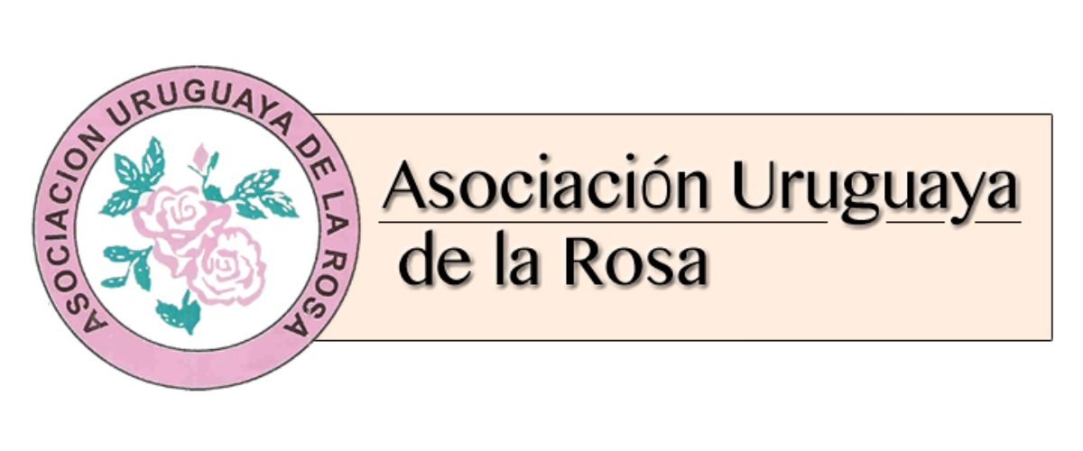 Asoc-de-la-rosa