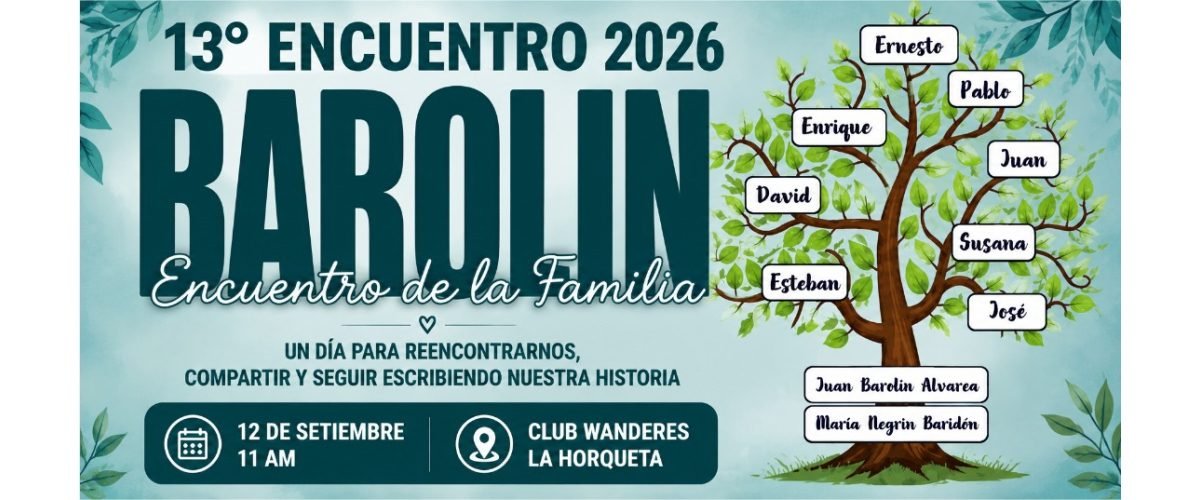 Barolin-web