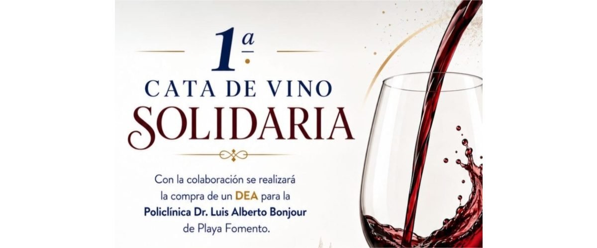 Cata-solidaria-cab-web