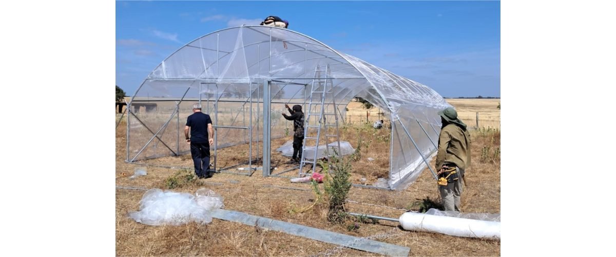 Erradicacion-bichera