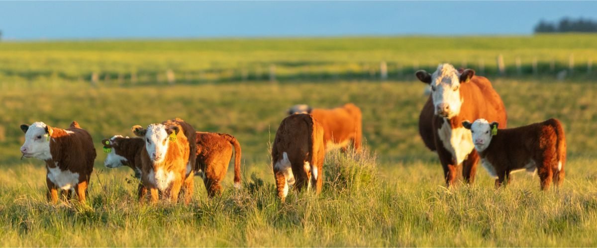 Ganaderia-biodiversidad