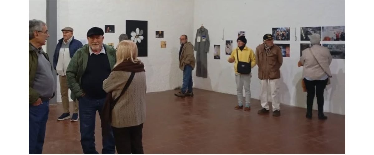 Grafica-dela-Memoria