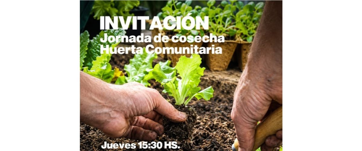 Huerta-Comunitaria-web