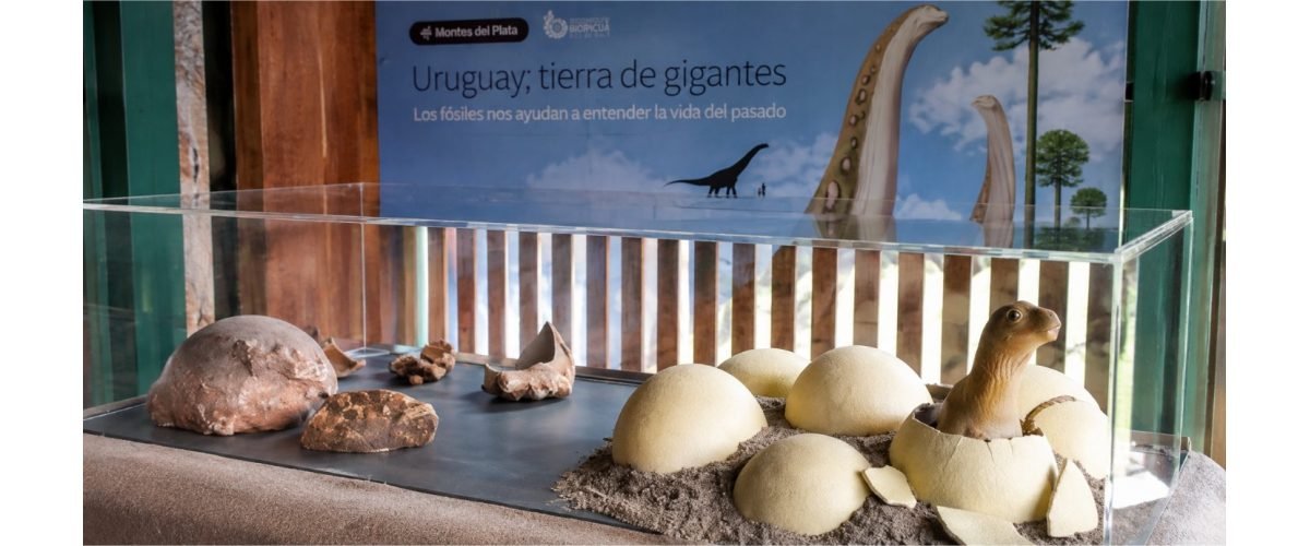 Huevos-Dinosaurios-web