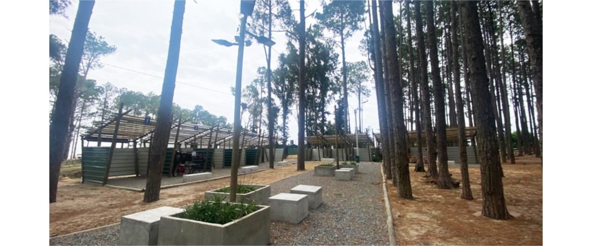 Jovenes-emprendedores