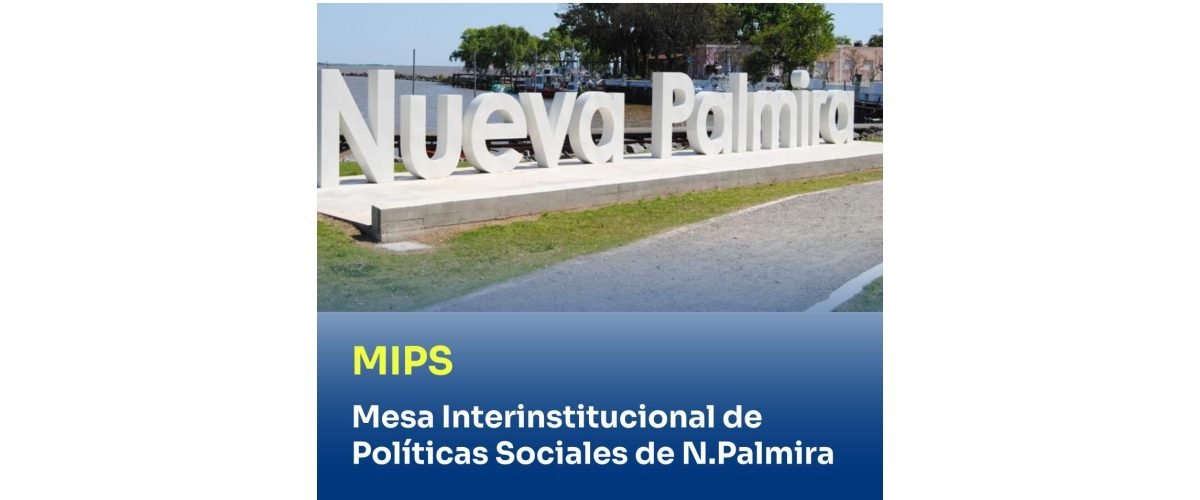 MIPS-web
