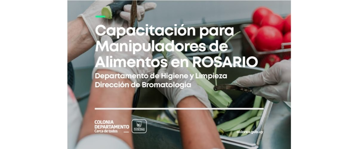 Manipulador-alimento-web
