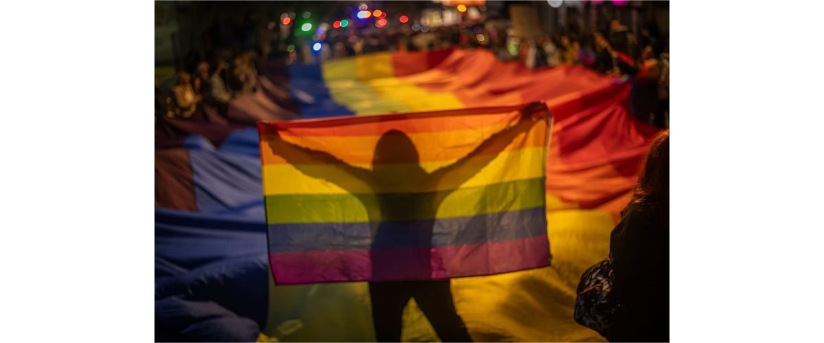 Marcha-Diversidad