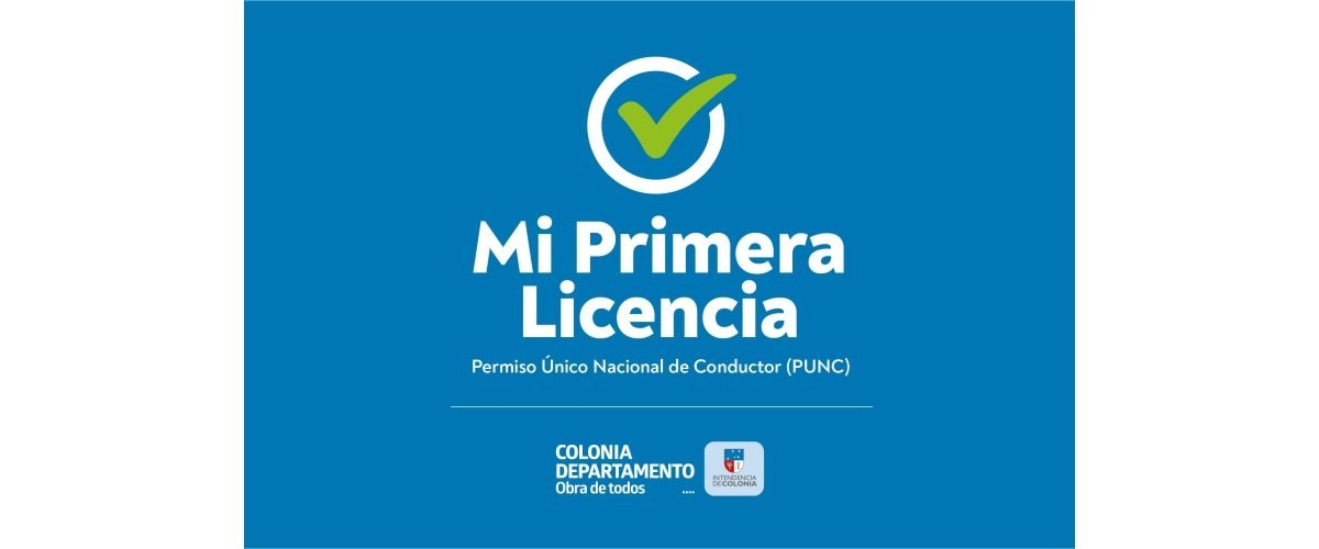 Mi-primera-licencia-web