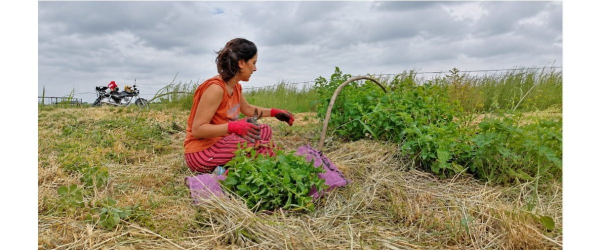Mujeres-rurales-web