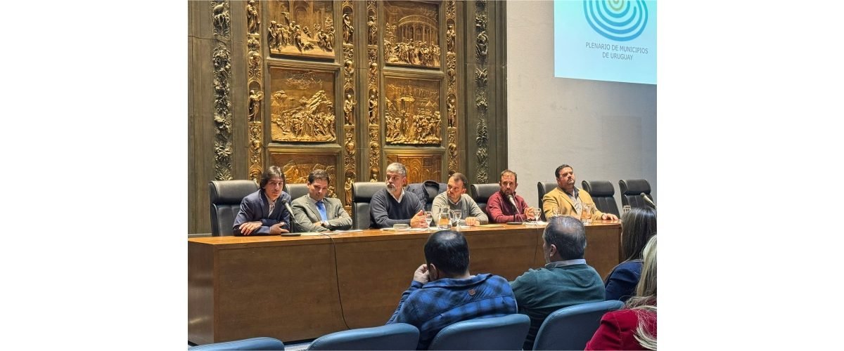 Plenario-de-Municipios