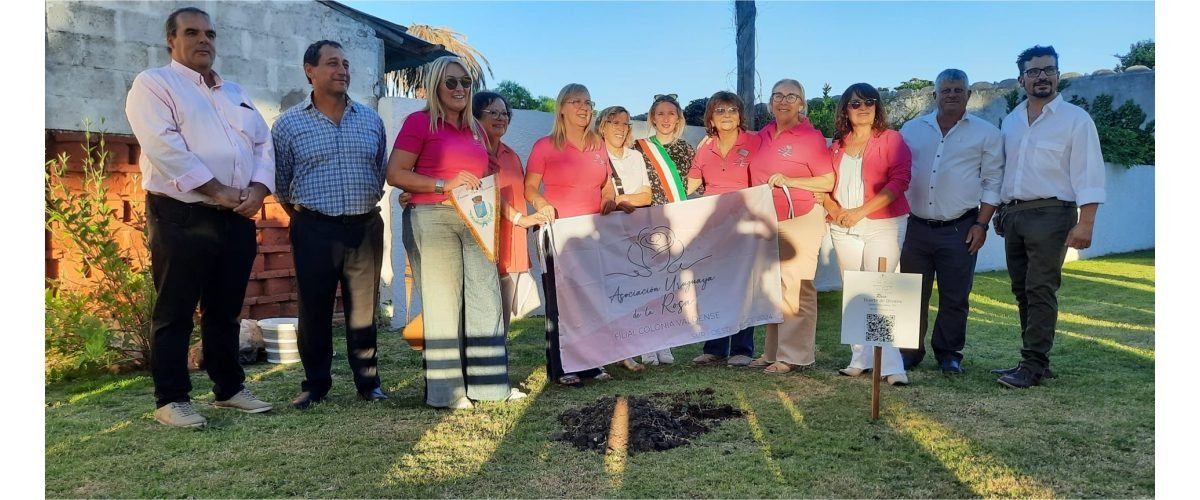 Rosa-Centenaria-Jovita