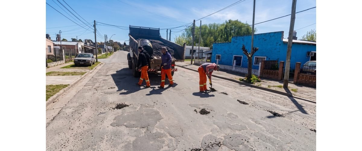 bacheo-web