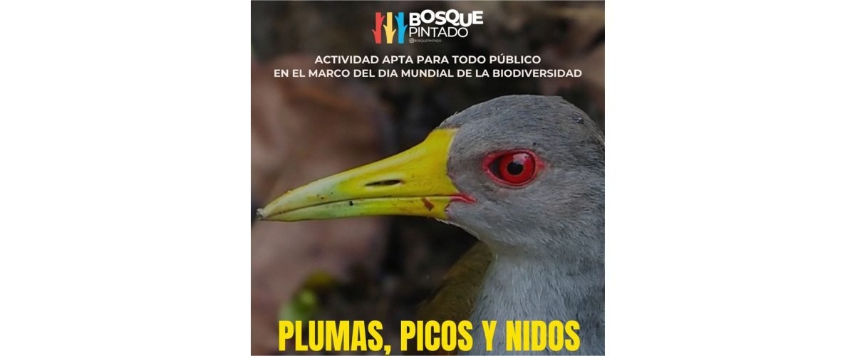 bosque-pintado