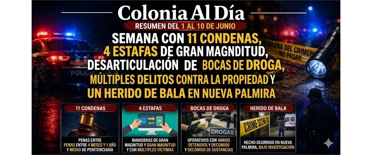 colonia-al-dia-web