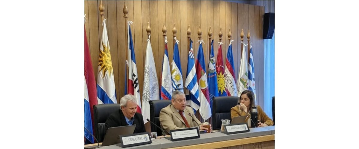 cong-intendente-web