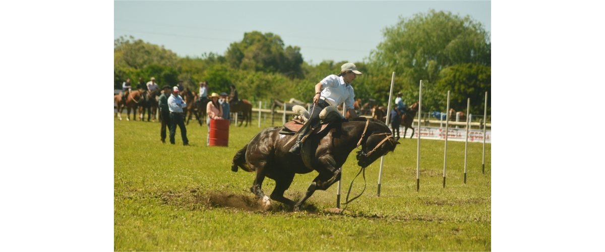 fiesta-agricultura
