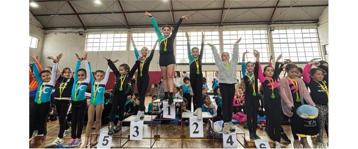 gimnasiaartisticacardona