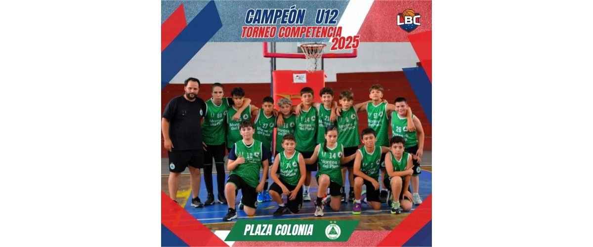 ligabasquetboldecolonia