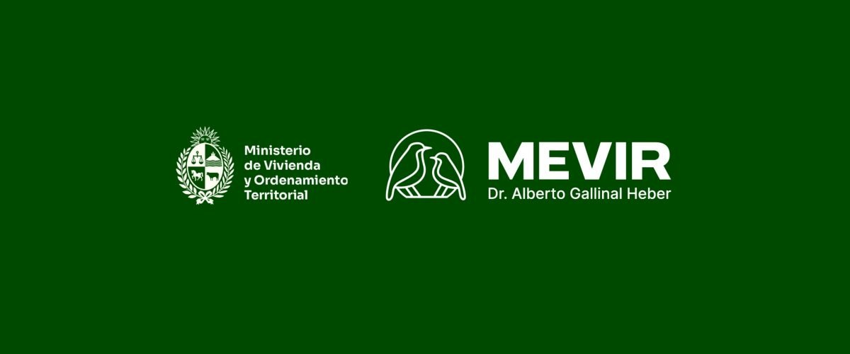 mevir2-web