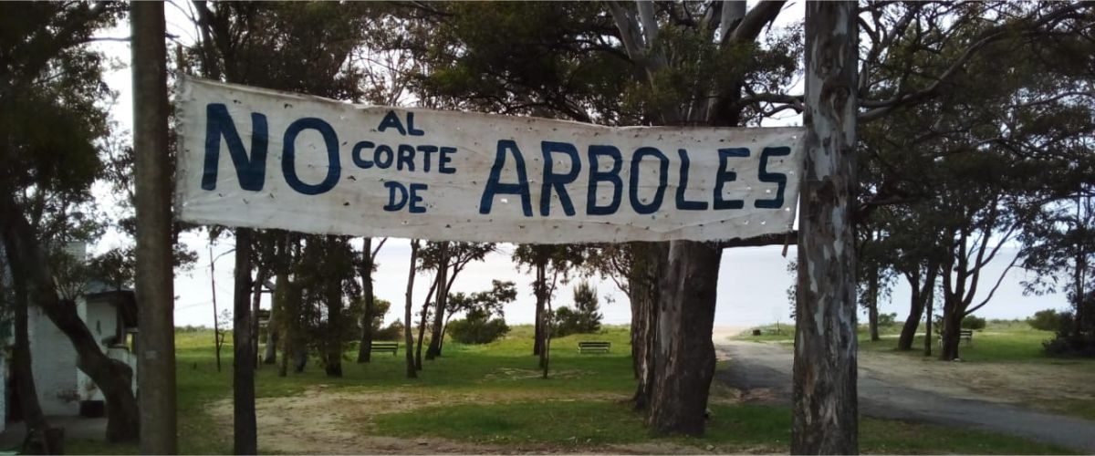 no-corte-arboles