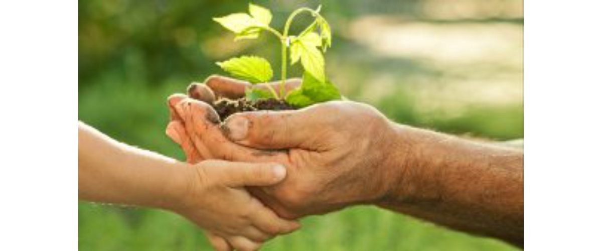 patrimonio-vegetal-web