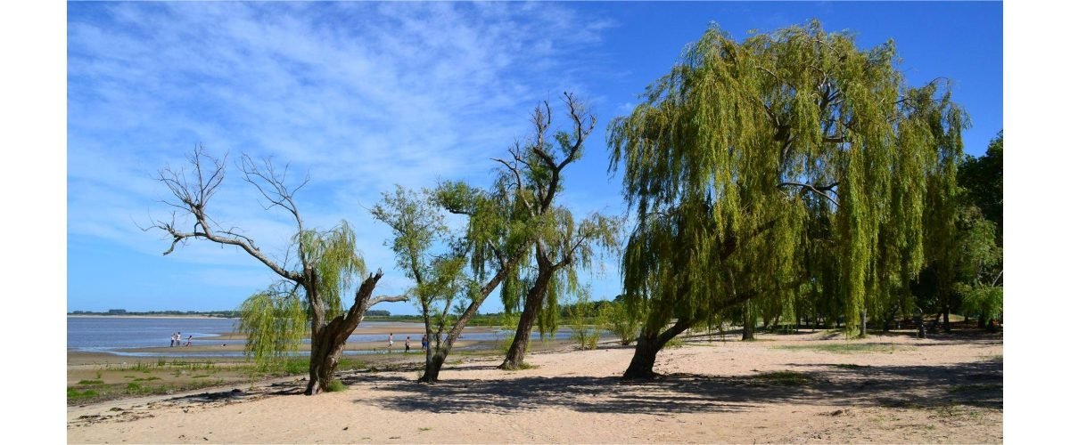 playa-verde