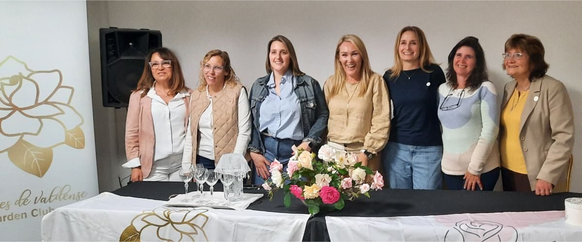 te-jazmines te-jazmines