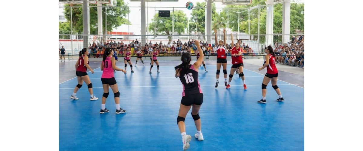 voley-web