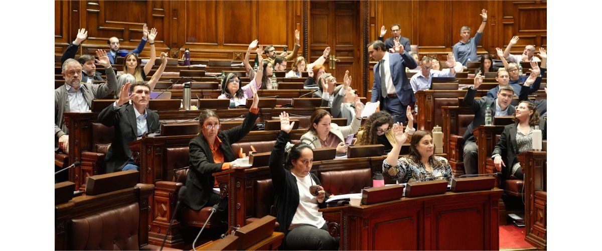 votacion-presupuesto